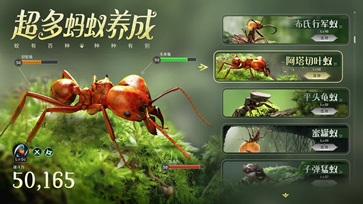 守望家园(1)