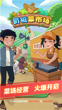 有机菜市场(4)