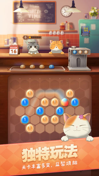 猫语咖啡(1)