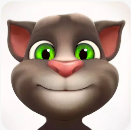 会说话的汤姆猫2010旧版
