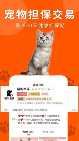宠物市场(2)