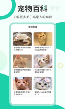 猫语翻译机(1)