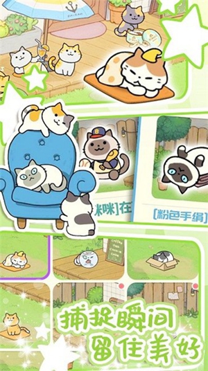 地铁遇见猫(1)
