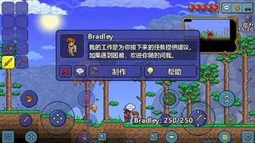 泰拉瑞亚1.4.4手机版全物品存档(1)