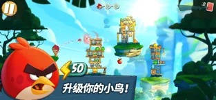 愤怒的小鸟2(1)