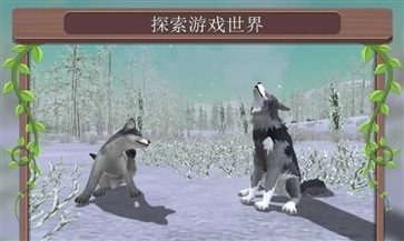 野生动物模拟器正版(3)