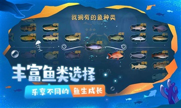 一只鱼游戏测试服(4)