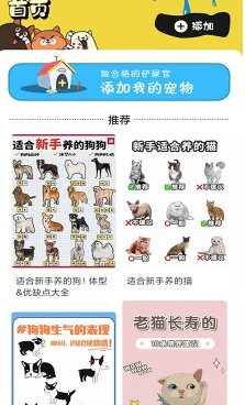 肥猫看看(3)