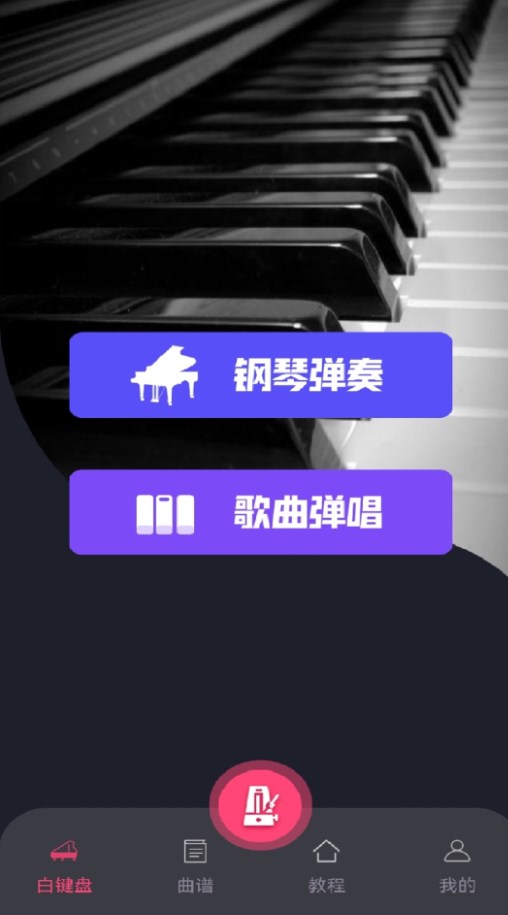 指尖上的钢琴大师(1)