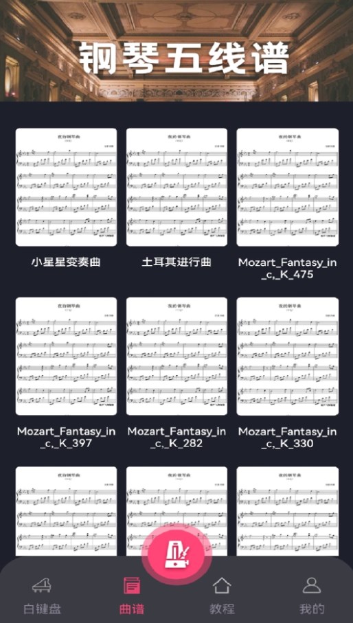 指尖上的钢琴大师(2)