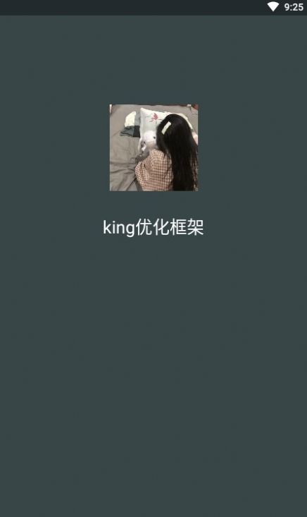 king优化框架(1)