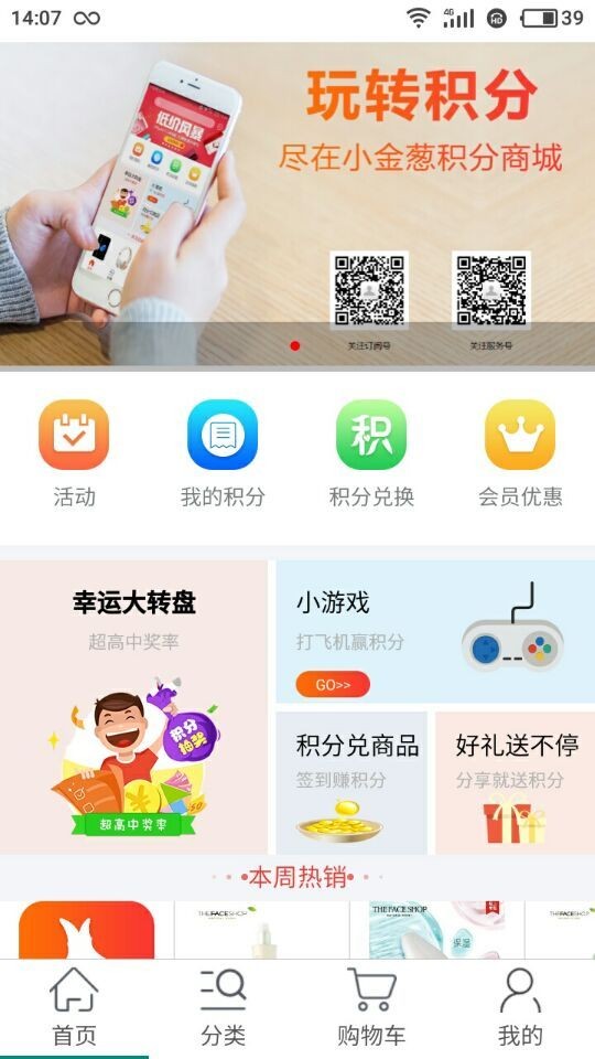 小金葱(3)