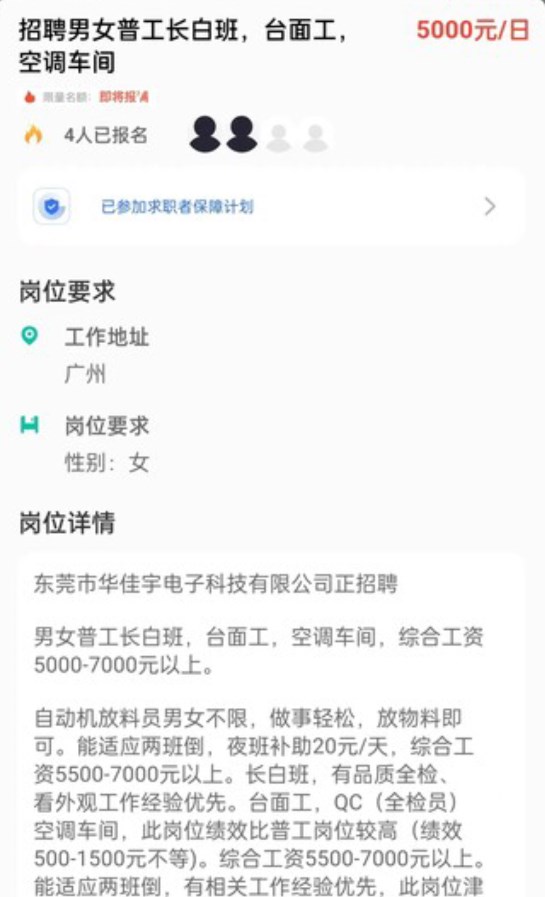 菜芽招聘(2)