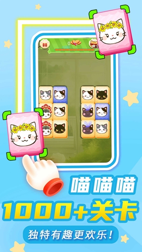 猫了个咪(1)