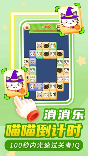 猫了个咪(3)