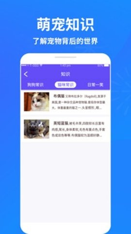 萌宠猫狗交流器(3)