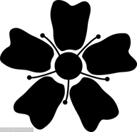 樱花影视最新版