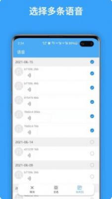 聊天语音导出(2)