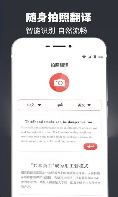 图片识别扫描翻译(3)