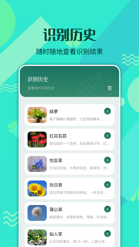 神农识别百草(3)