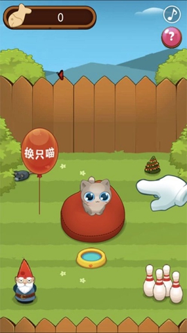 养了个猫(1)