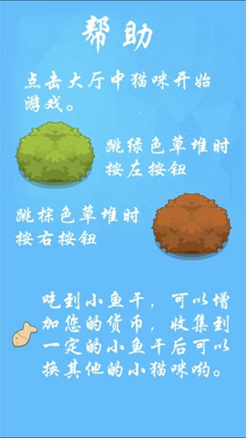 养了个猫(2)