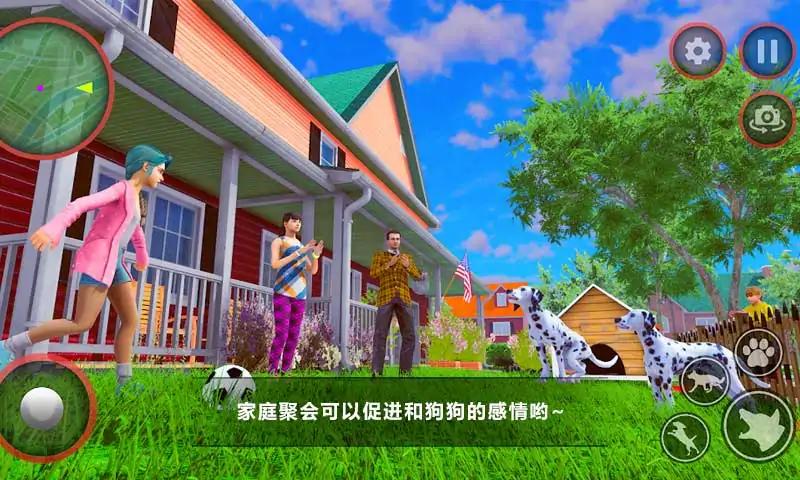 狗狗家庭陪伴(2)
