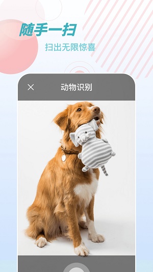 物品识别师(3)