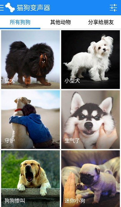 猫狗变声器(2)