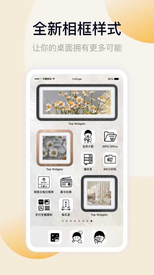 topwidgets(3)