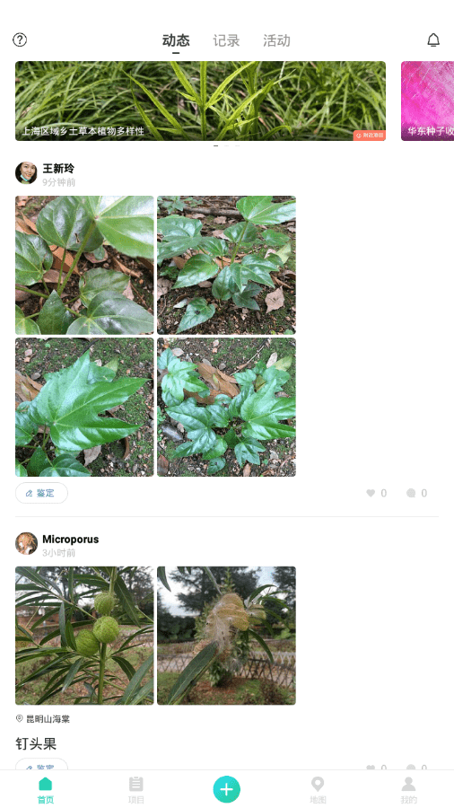 生命观察(1)