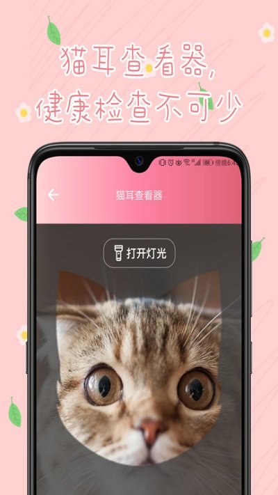 旻匠猫咪翻译器(3)