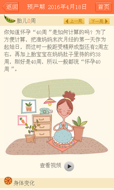 孕期好帮手(2)