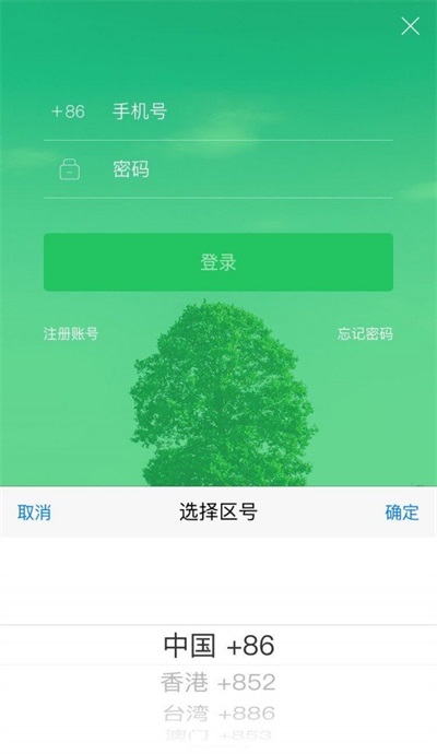 大树旅行(1)