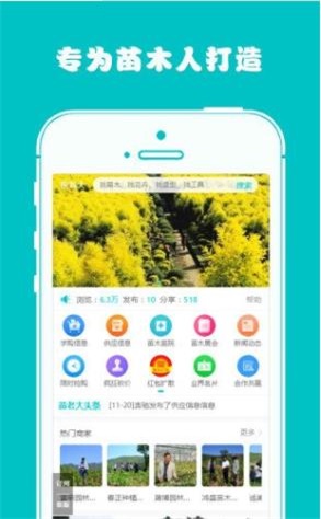 苗老大(2)