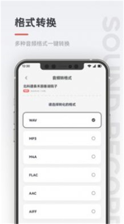 保密录音机(1)