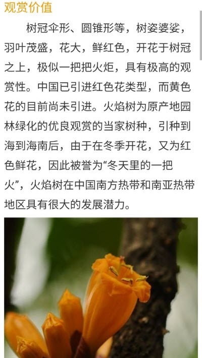 花草种植(1)