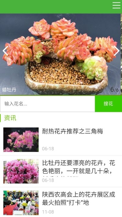 花草种植(3)