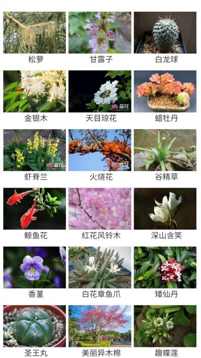 花草种植(2)