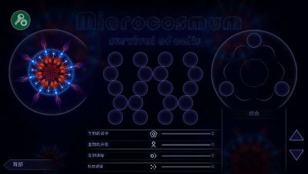 微生物模拟器(3)