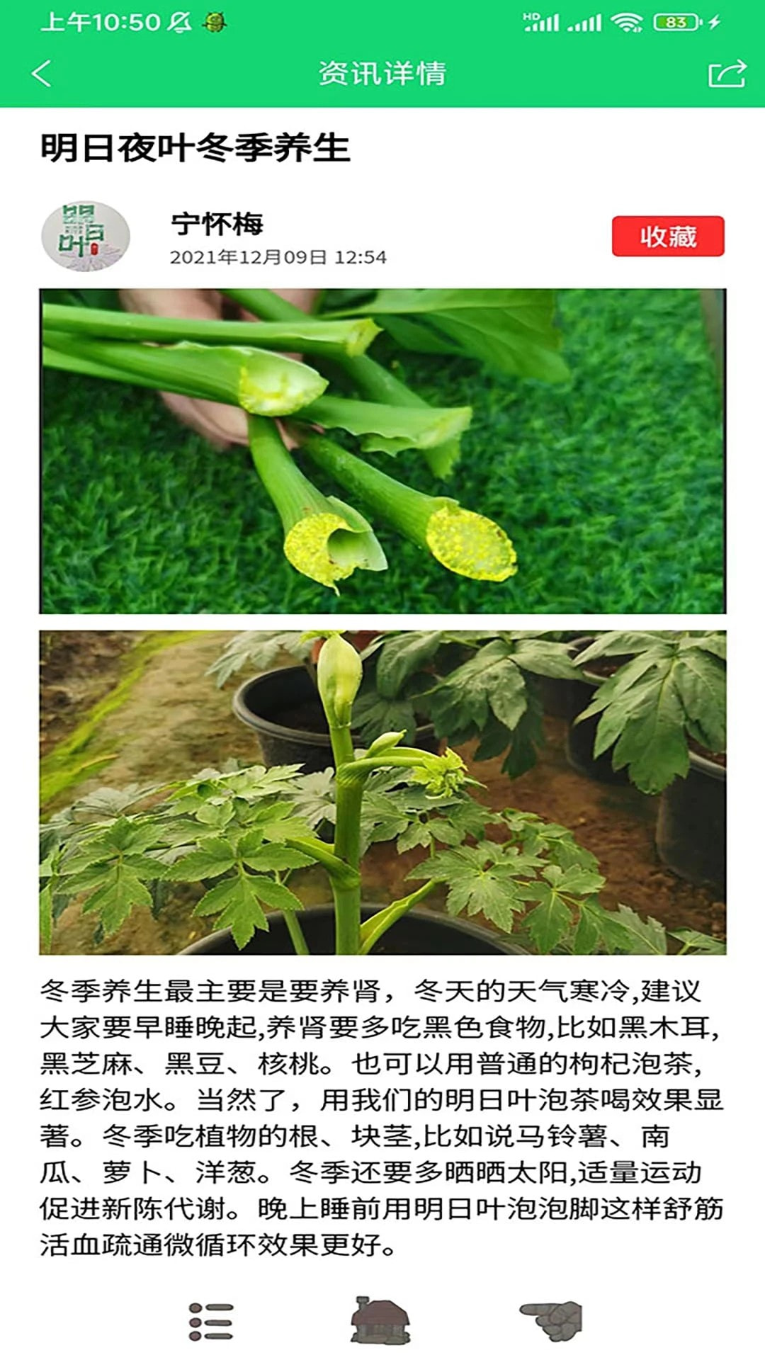 家庭桃源(3)