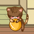(在)线宠猫