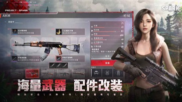 代号spark国际服中文(4)
