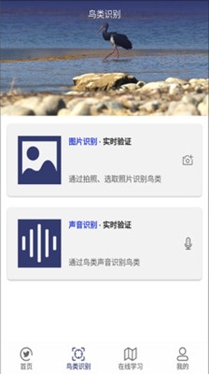 图音识鸟(3)