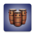 Real Percussion