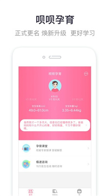 贝贝孕育(1)