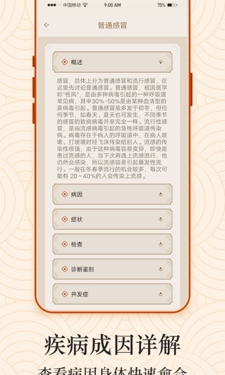 经络图解(1)