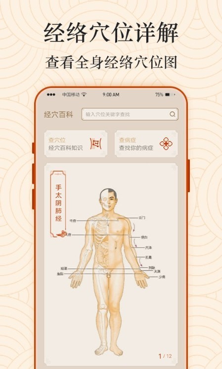 经络图解(3)