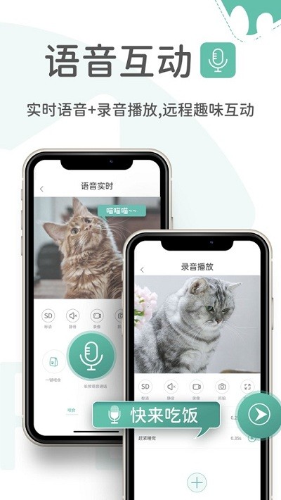 云阔宠物(3)