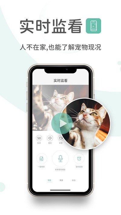 云阔宠物(2)